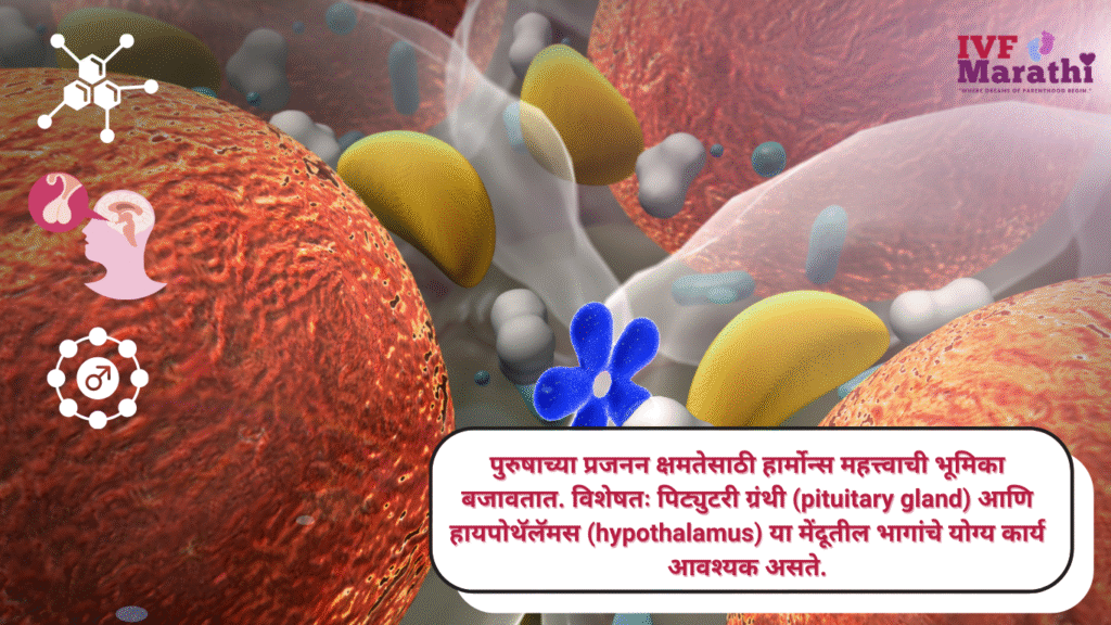 पुरुष वंध्यत्व