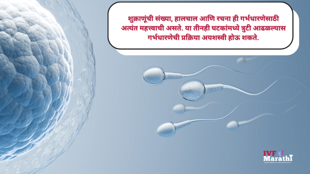 पुरुष वंध्यत्व